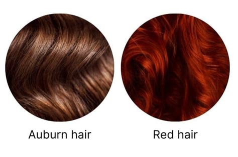 auburn hair vs red hair